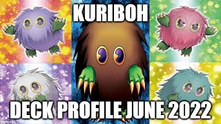 KURIBOH DECK PROFILE JUNE 2022 YUGIOH [upl. by Annasor]