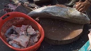 SINGHARA FISH CUTTING KHAGGA FISH CUTTING FISH MARKET KARACHI PAKISTAN [upl. by Nivram809]