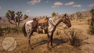 Red Dead Redemption 2 Brown Leopard And Leopard Appaloosa Locations [upl. by Atsahc]