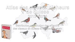 Atlas des oiseaux nicheurs de Suisse 20132016 [upl. by Hallsy620]