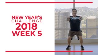 New Years Walk Challenge 2018 Week 5 [upl. by Fayth]