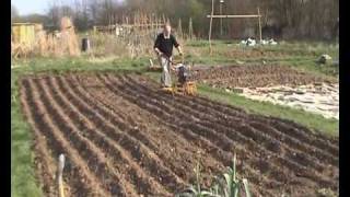 From seed to loaf part 1 of 2 allotment scale production of bread making wheat [upl. by Stent]