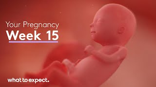 Pregnancy Week By Week  1  41 Weeks Fetal Developments [upl. by Nodnas]