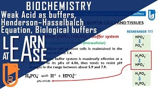 Biochemistry Weak Acid as buffers Henderson–Hasselbalch Equation Biological buffers [upl. by Janetta]