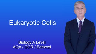 A Level Biology Revision quotEukaryotic Cellsquot [upl. by Aderfla]