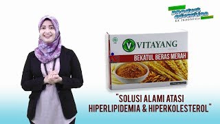 Vitayang Bekatul Beras Merah Solusi Penurun Alami Hiperkolesterol Pengetahuan Produk [upl. by Plank]