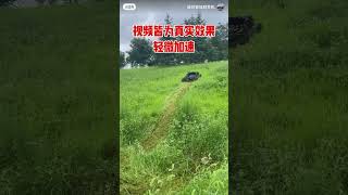 Remote control smart lawn mower One machine for multiple uses saving time effort viralvideo [upl. by Kendrick]