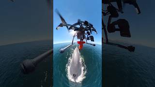 This is how scientists monitor the health of whales 🤯 Permit SGPADGVS1002221 drone tech sea [upl. by Apple]