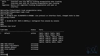 Configuring Cisco Trunk Ports [upl. by Korry]