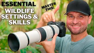 GOTO SETTINGS For Bird amp Wildlife PHOTOGRAPHY  Have YOU Mastered The MOST IMPORTANT SKILL [upl. by Ahseid269]