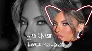 Jad Nasif Hoobak Mali Hayati Remix 2024  An Emotional Rework by DJ Samir  Track by Jad Nasif [upl. by Ellenid]