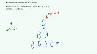 Fighting Disease  Drugs  AQA GCSE 91 Biology B3 [upl. by Giddings]