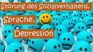 🧏🏻‍♀️Sozialemotionale Kompetenzen Depression und Sprachfähigkeit ermitteln⁉️ [upl. by Lysander216]