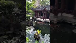 Walking through Fukushuen Park Naha City Okinawa [upl. by Ynohtnacram]