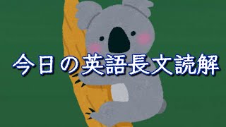 コアラの指紋編【スキマ英語 今日の英語長文読解 12】 [upl. by Nod]