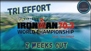 Ironman New Zealand 703 WC 🇳🇿  Training Vlog  2 Weeks Out  TRI EFFORT 🥝 [upl. by Huberty652]