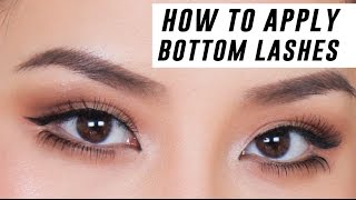 How to Apply Lower Lashes for Beginners  Tina Yong [upl. by Ssor]