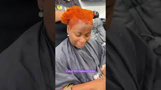 How To Apply Color On Natural Hair [upl. by Erika395]