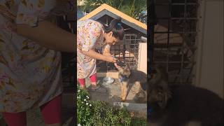 Petcare🥰 lifestylevlog minivlogkavyakraj1989vlogsminivlogpetlovers🥰dailyvlogs [upl. by Ynnos]