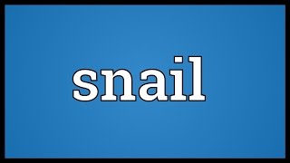 Snail Meaning [upl. by Mcwherter]