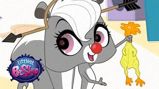 Littlest Pet Shop – Meet Pepper [upl. by Nemaj]