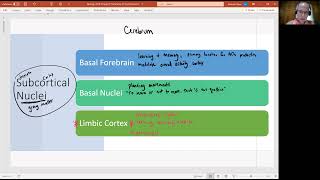 Biology 2010 Chapter 13 Anatomy of the Nervous System Subcortical Nuclei video 3 [upl. by Heigho188]