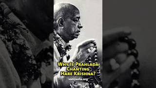 Why Is Prahlada Chanting Hare Krishna  Prabhupada 0693 [upl. by Alleuqcaj78]