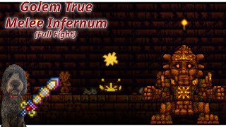 Golem True Melee Calamity Infernum full fight [upl. by Melquist800]