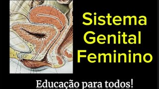 Sistema Genital Feminino aula saude foryou anatomia [upl. by Ahouh186]