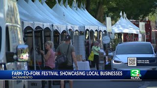 FarmtoFork Festival offers opportunities for local businesses [upl. by Franzen]