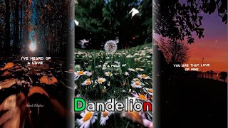 Dandelions  Aesthetic lyrics edit  Audio Slowed  dandelions shorts ruthb [upl. by Yumuk]