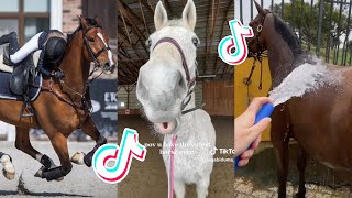 The Cutest HORSES  Equestrian TikTok Compilation 85 [upl. by Salman874]