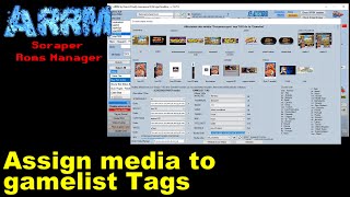 ARRM  How to assign the screenscraper media to the different Tags of the gamelistxml [upl. by Wenz]