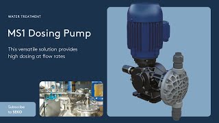 Introducing the SEKO Spring MS1 amp MSV Mechanical Diaphragm Dosing Pumps [upl. by Docilla]