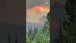 Wildfires in Canadian national park force authorities to order evacuation [upl. by Lydie]