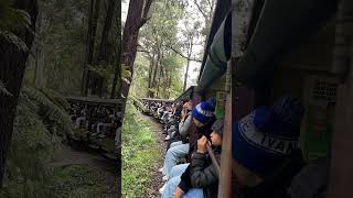 Puffing Billy train [upl. by Gram]