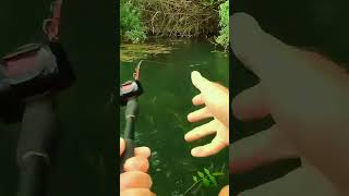 Catching Monster Catfish Epic Battle [upl. by Karly]