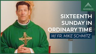 Sixteenth Sunday in Ordinary Time  Mass with Fr Mike Schmitz [upl. by Eunice]