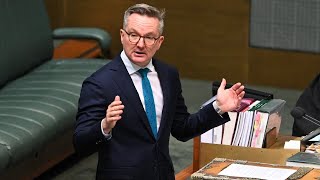 ‘War on science’ Labor government slammed following Chris Bowen’s latest move [upl. by Anaihr]