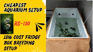 Low budget aquarium setup under 130RsHow to make fridge box aquarium setup with plants 🌱🌱 [upl. by Eicyal871]