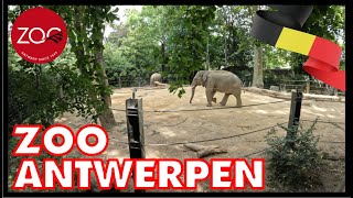 ZOO Antwerpen  ZOO 🇧🇪 [upl. by Jenda]