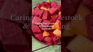 fruitarian frugivore alkaline plantbased holistichealth shorts [upl. by Wenoa585]