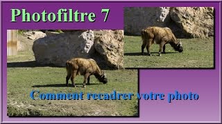 Photofiltre 7 comment recadrer votre photo [upl. by Ennairam15]