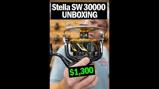 Shimano Stella SW 30000 Unboxing [upl. by Arreic]