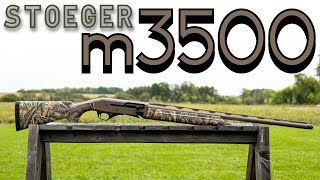 Stoeger M3500 12ga Shotgun Review [upl. by Dott315]