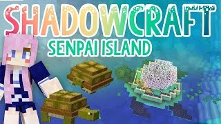 Senpai Island  Shadowcraft 20  Ep8 [upl. by Currie]