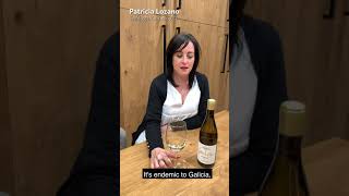 Patricia Lozano Presenta Gotas de Mar Fermentado en Barrica 2018 [upl. by Nnaycart39]