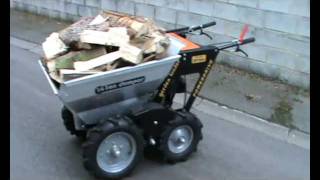 Mini Dumper 250 kg  Moteur Briggs amp Stratton DOV 700 [upl. by Ellatsyrc]