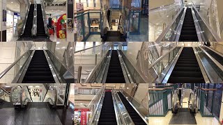 【三重県 明和町】イオンモール明和のエスカレーター全１２基に乗ってみた！Escalator Aeon Mall Meiwa Mie Japan [upl. by Wyler]