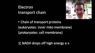 Cellular respiration part 2 [upl. by Yentuoc987]